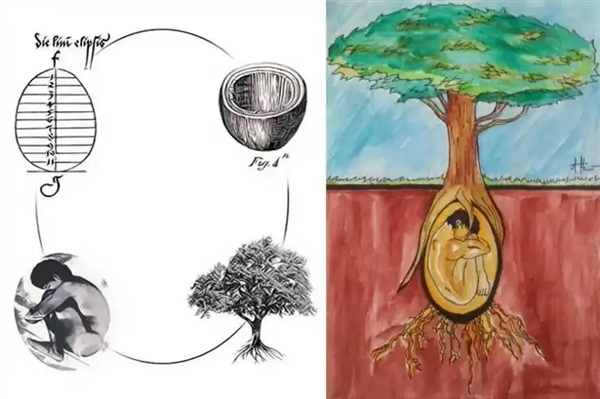 星歐娛樂注冊:聞起來像蒸蛤蜊!美國流行水葬 堿水“燜煮”遺躰化成液躰和白骨