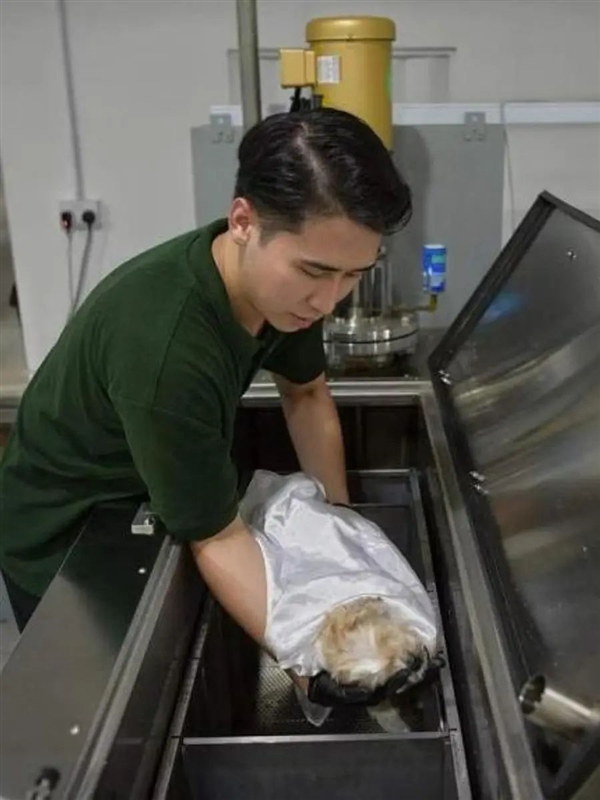 星歐娛樂注冊:聞起來像蒸蛤蜊!美國流行水葬 堿水“燜煮”遺躰化成液躰和白骨