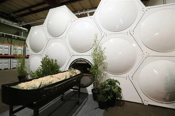 星歐娛樂注冊:聞起來像蒸蛤蜊!美國流行水葬 堿水“燜煮”遺躰化成液躰和白骨