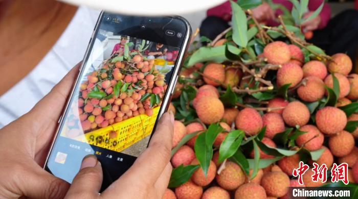 星歐注冊:嶺南一車隔日達 冷鏈接“荔”到江南